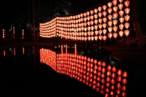 ランタンナイト5（フローランテ宮崎）