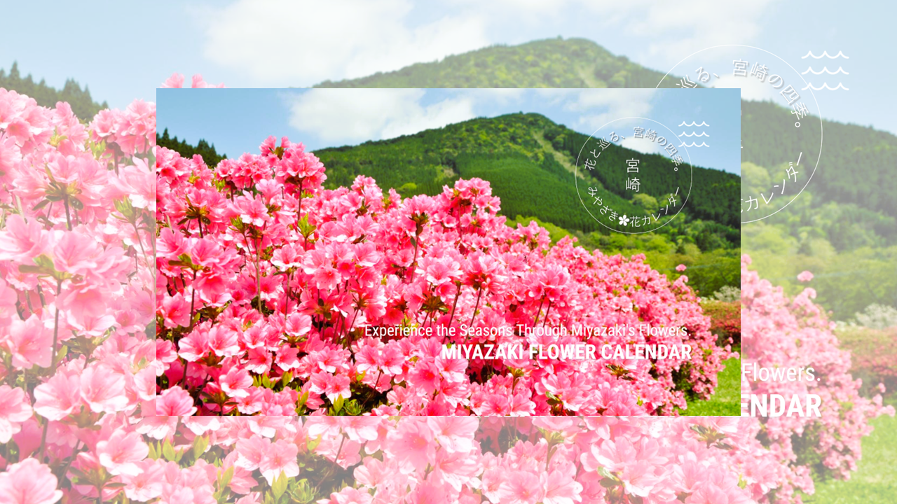 宮崎花カレンダー🌸花と巡る、宮崎の四季。