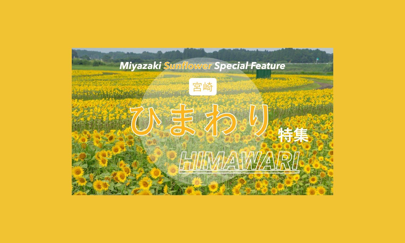 写真映え間違いなし！宮崎ひまわりスポット特集