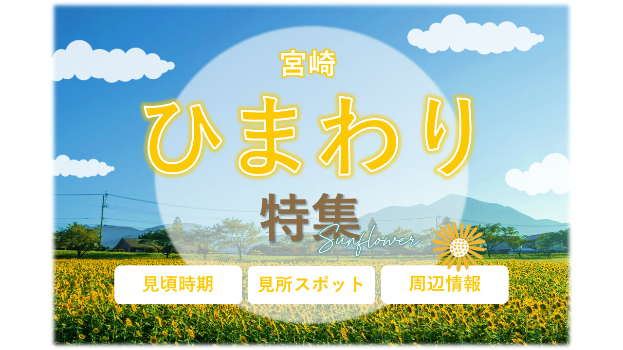 写真映え間違いなし！宮崎ひまわりスポット特集