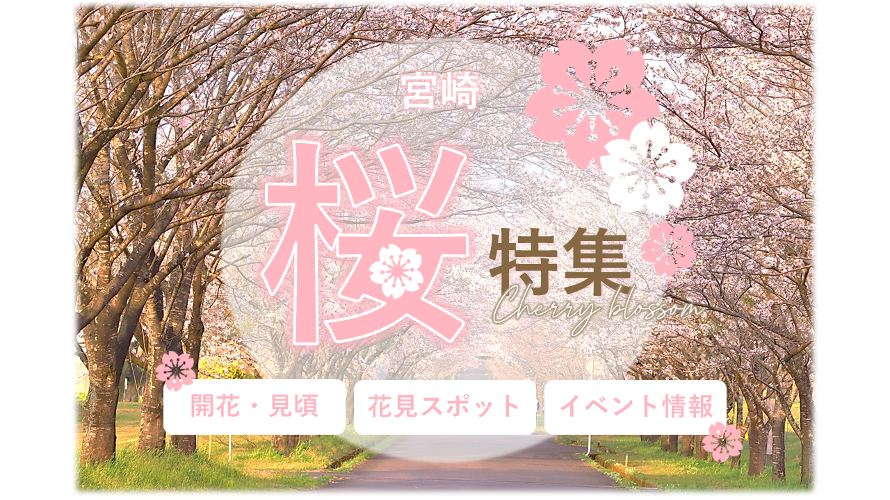 南国・宮崎で出会う春の絶景。厳選桜スポット特集
