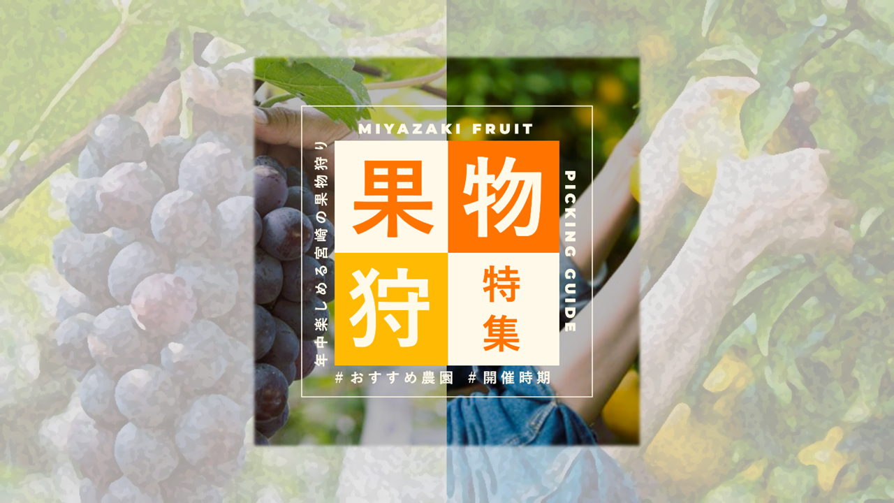 秋休みは宮崎のフルーツ狩りに行こう！