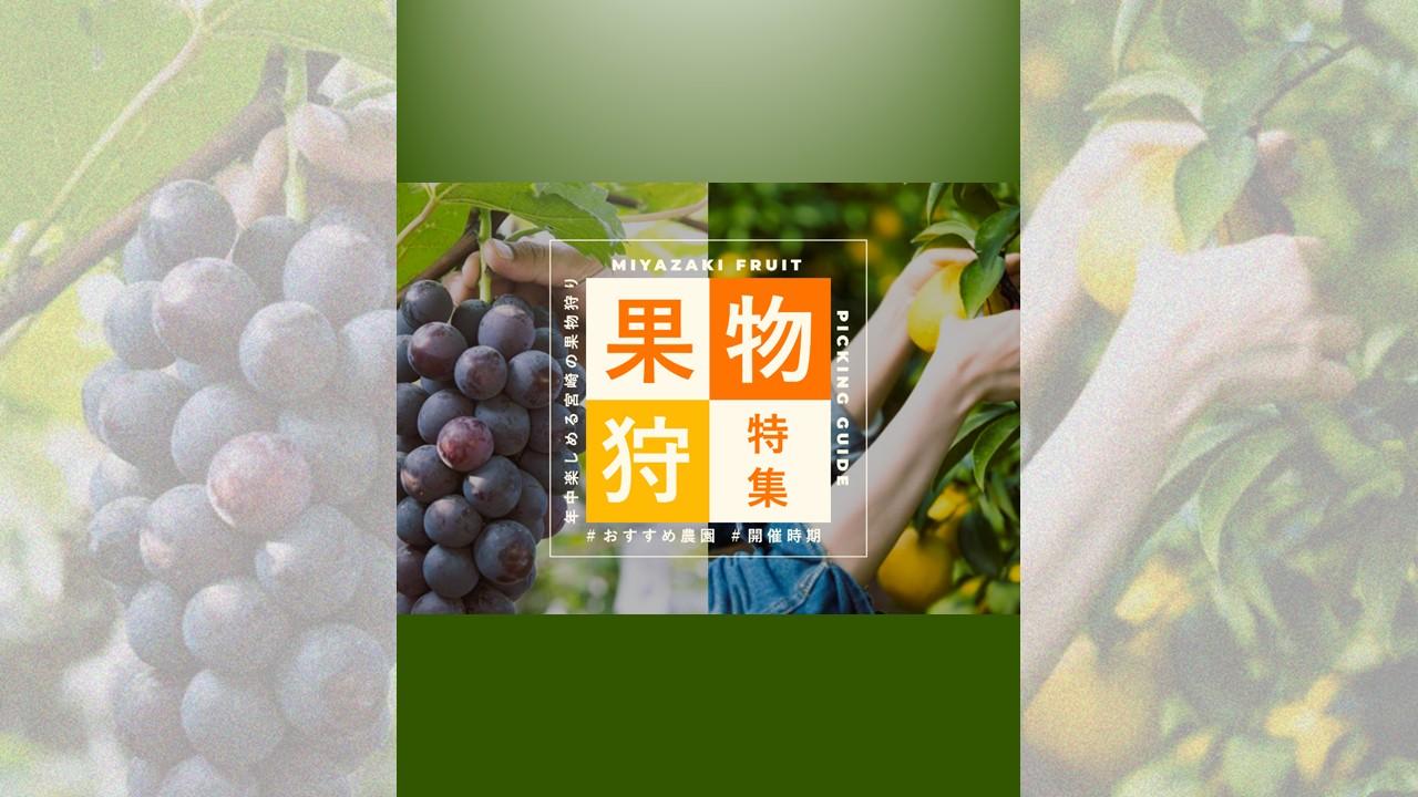 秋休みは宮崎のフルーツ狩りに行こう！