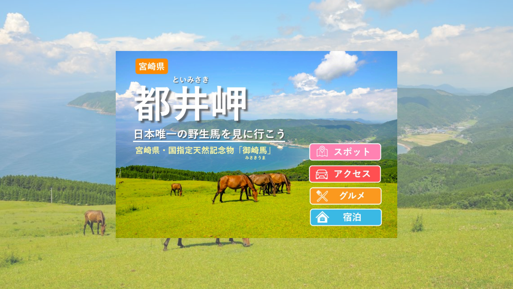【2026年・午年】宮崎「都井岬」を徹底特集！