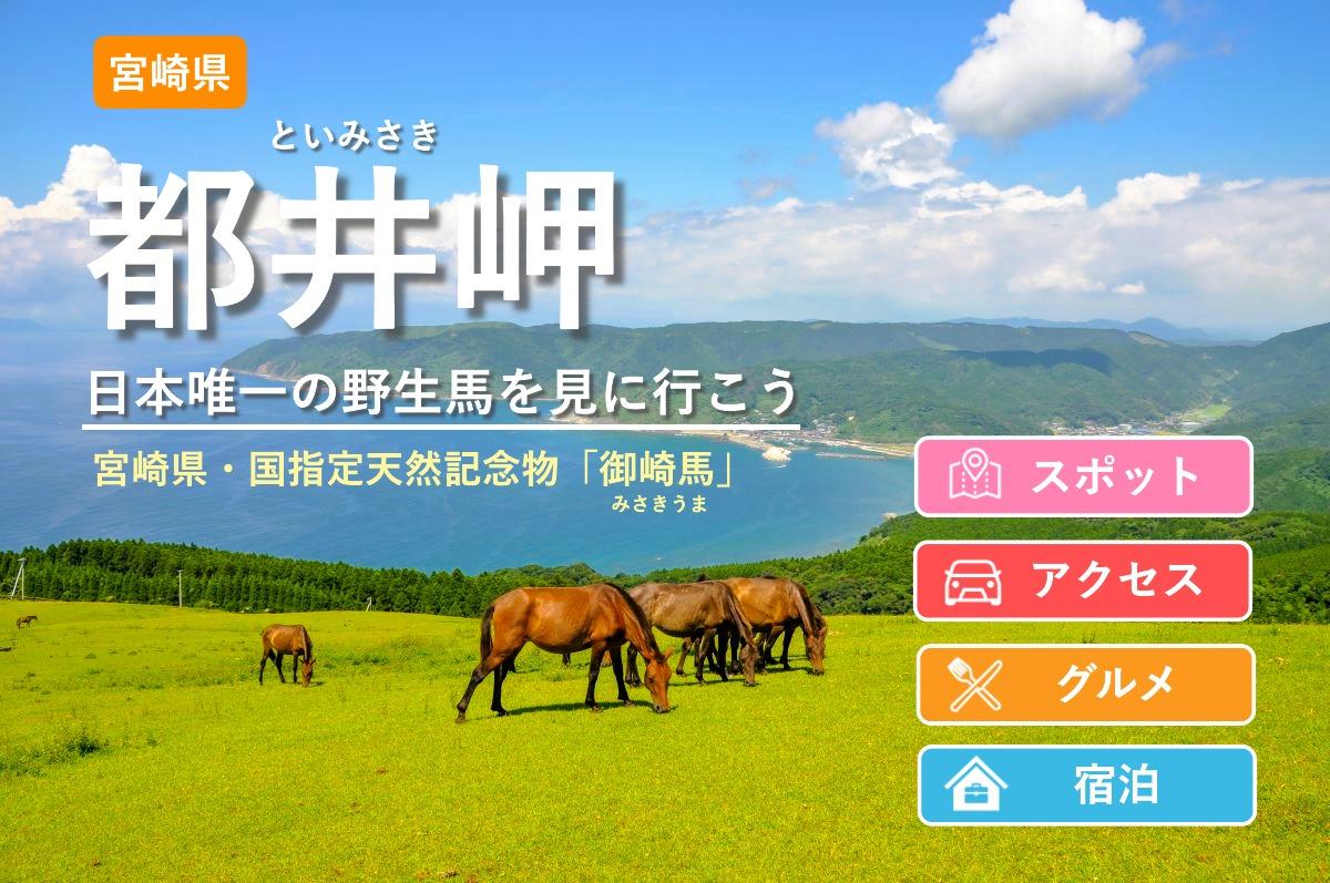 都井岬観光ガイド