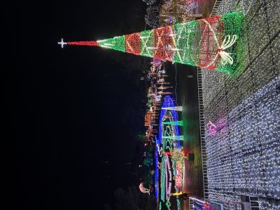 宮大生フォトコンテスト2025ｰ12優勝作品