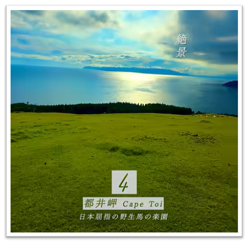 anna宮崎トリッププロモーション動画サムネ