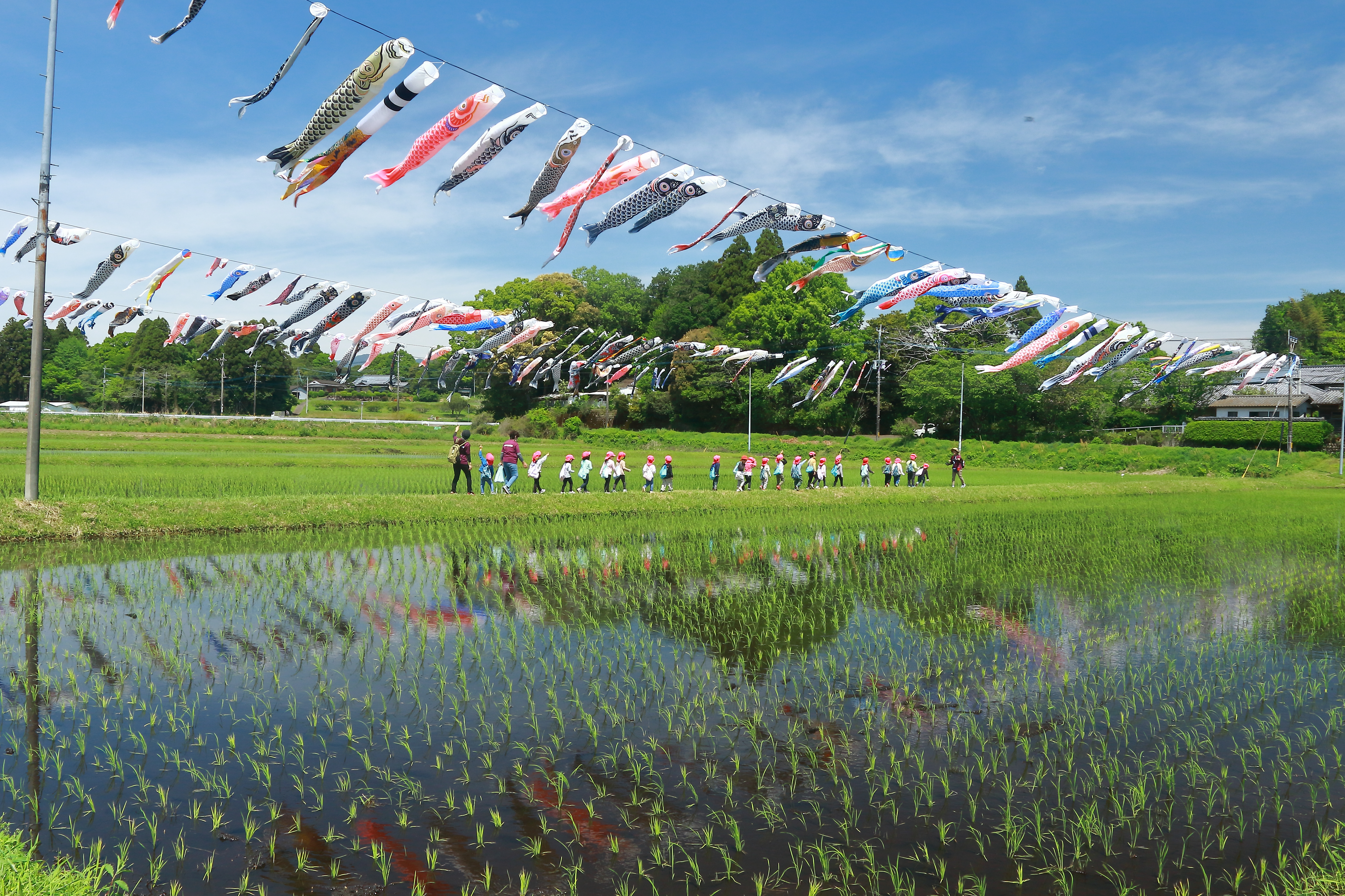大空泳ぐ鯉のぼり