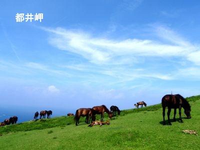 関西の人気webサイト『anna（アンナ）』に宮崎旅が特集されました♪JAL連動キャンペーンも実施中！-2