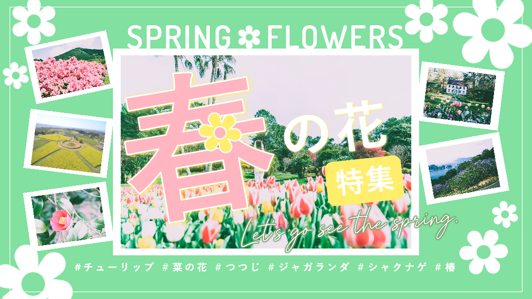 桜だけじゃない！宮崎を彩る春の花々-1