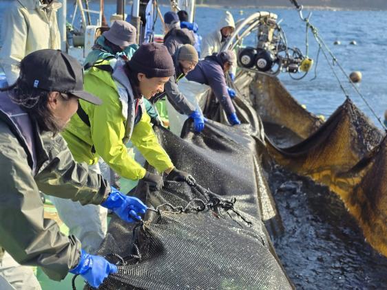 More than just vegetables! Enjoy freshly caught fish!-1