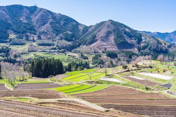 A Deep Connection to the Globally Important Agricultural Heritage Systems-1