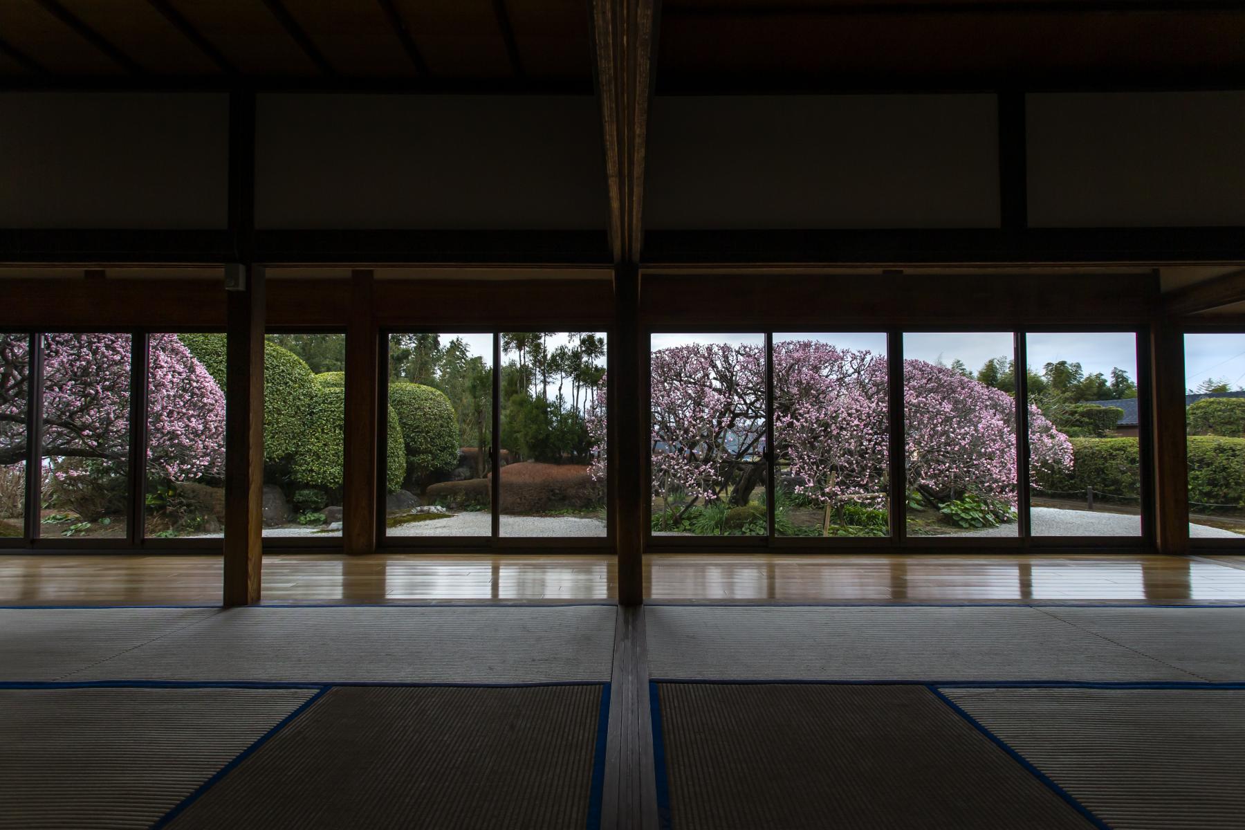 Manpukuji (Rakusanen) (Kunitomi Town)-1