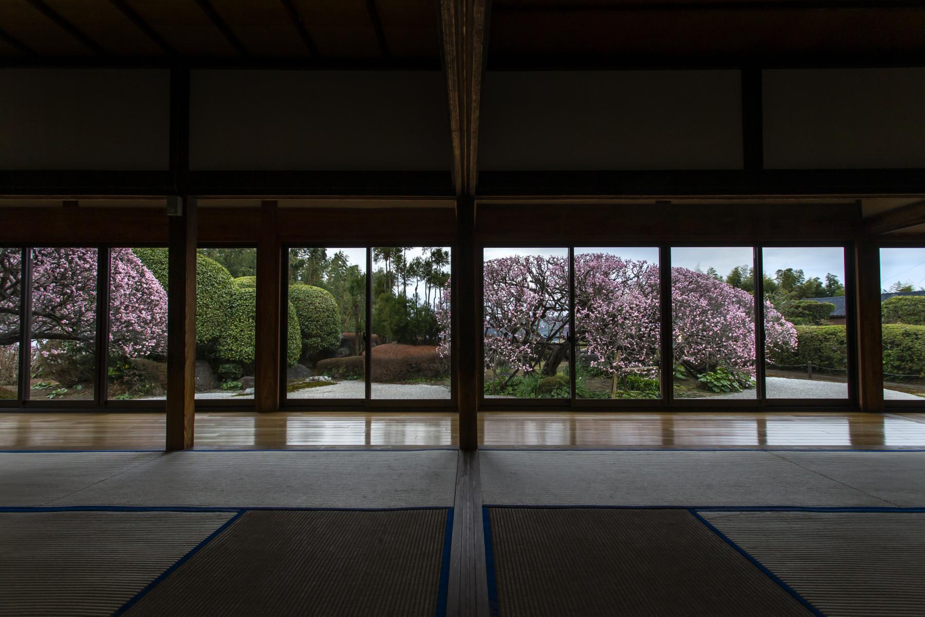 萬福寺（楽山園）-1