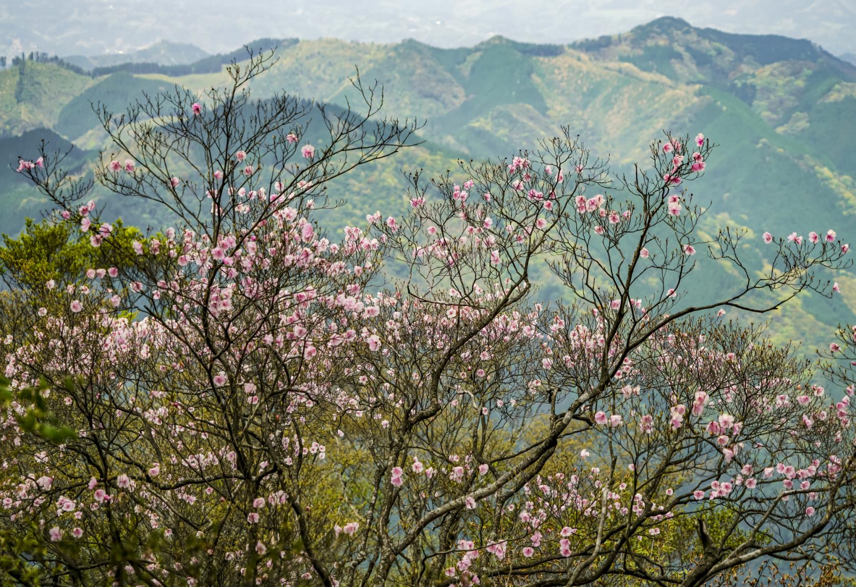 二上山頂展望台（高千穂町）-1