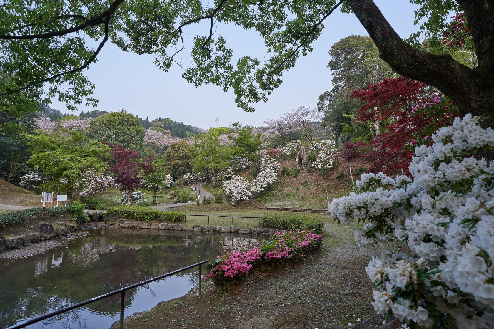 法華嶽公園（国富町）-1