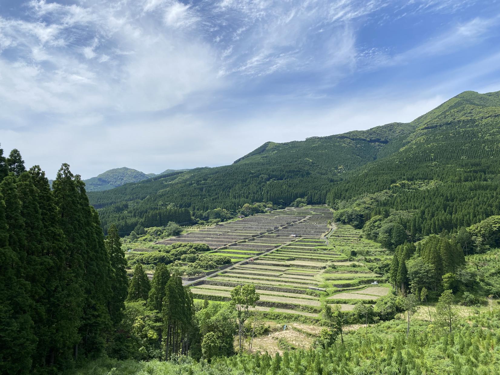 Sakamoto Tanada (Sakamoto Rice Terraces - Nichinan City)-1
