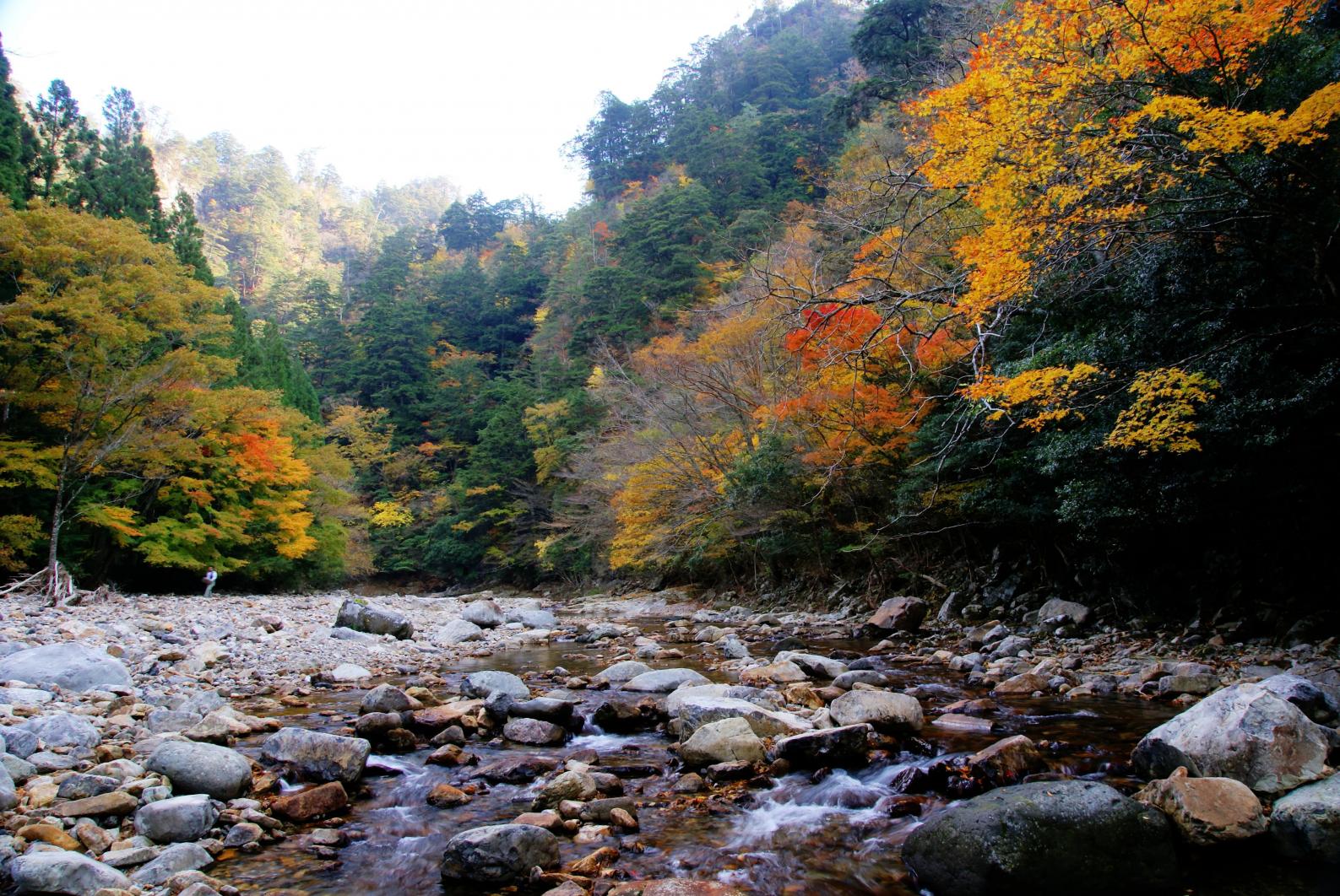 見立渓谷【日之影町】-1