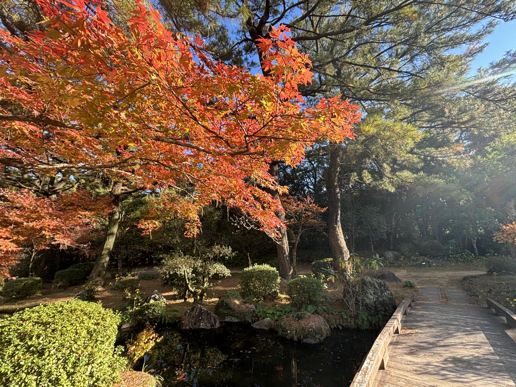 ⑯日向景修園（ひなた宮崎県総合運動公園内）（宮崎市）-1