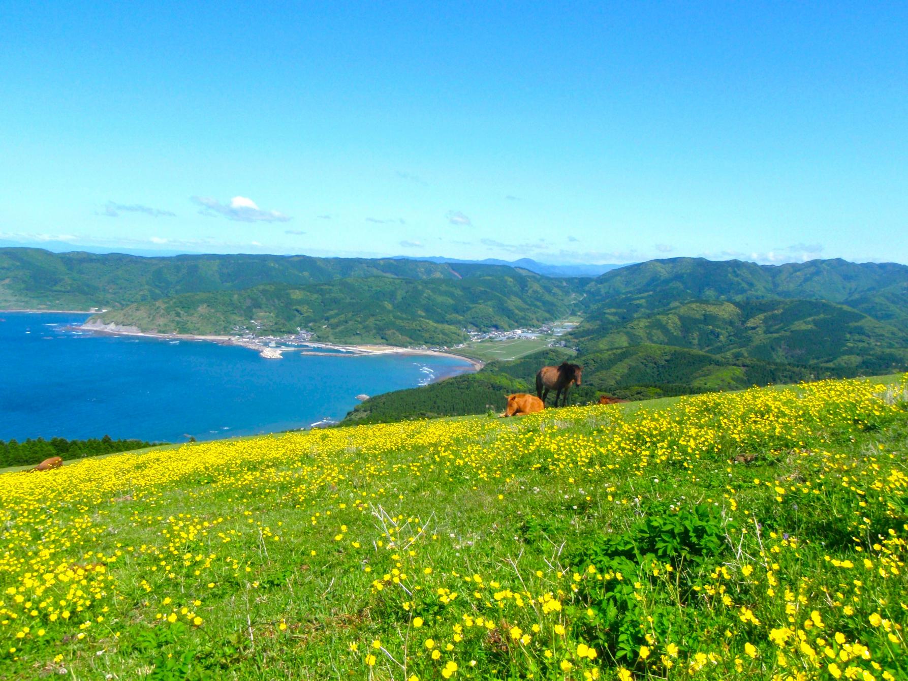 都井岬（串間市）-1