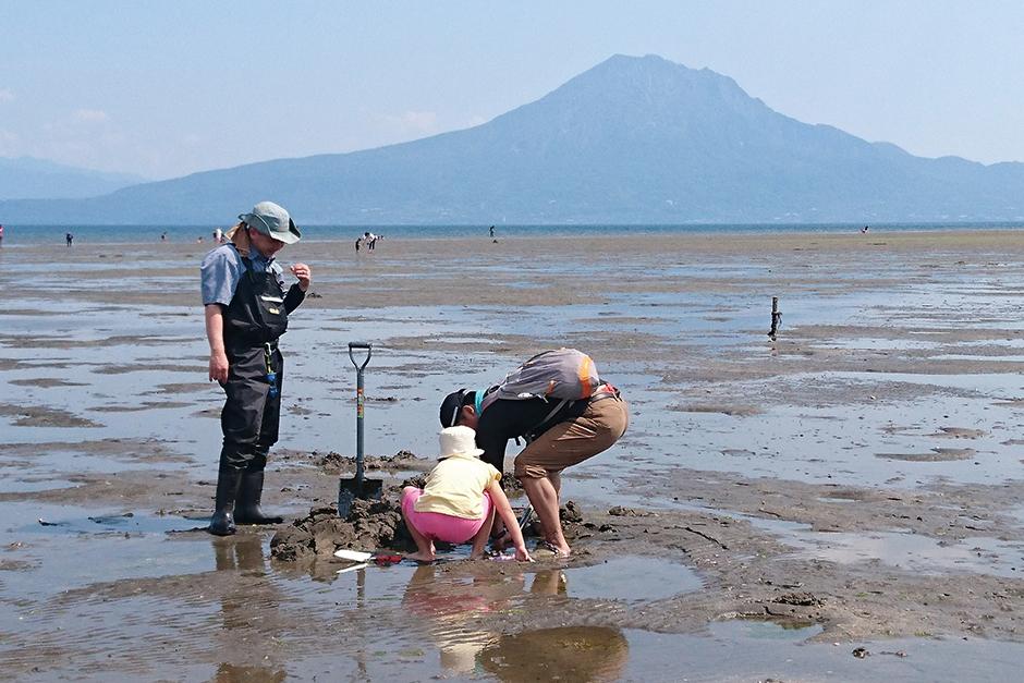 霧島錦江湾国立公園最大の干潟を専門家とめぐる「生き物観察ツアー」-1