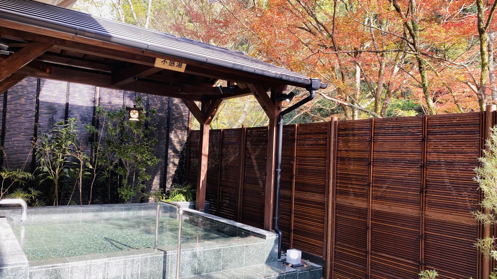 Aoidake Hot Spring (Miyakonojo City)-1