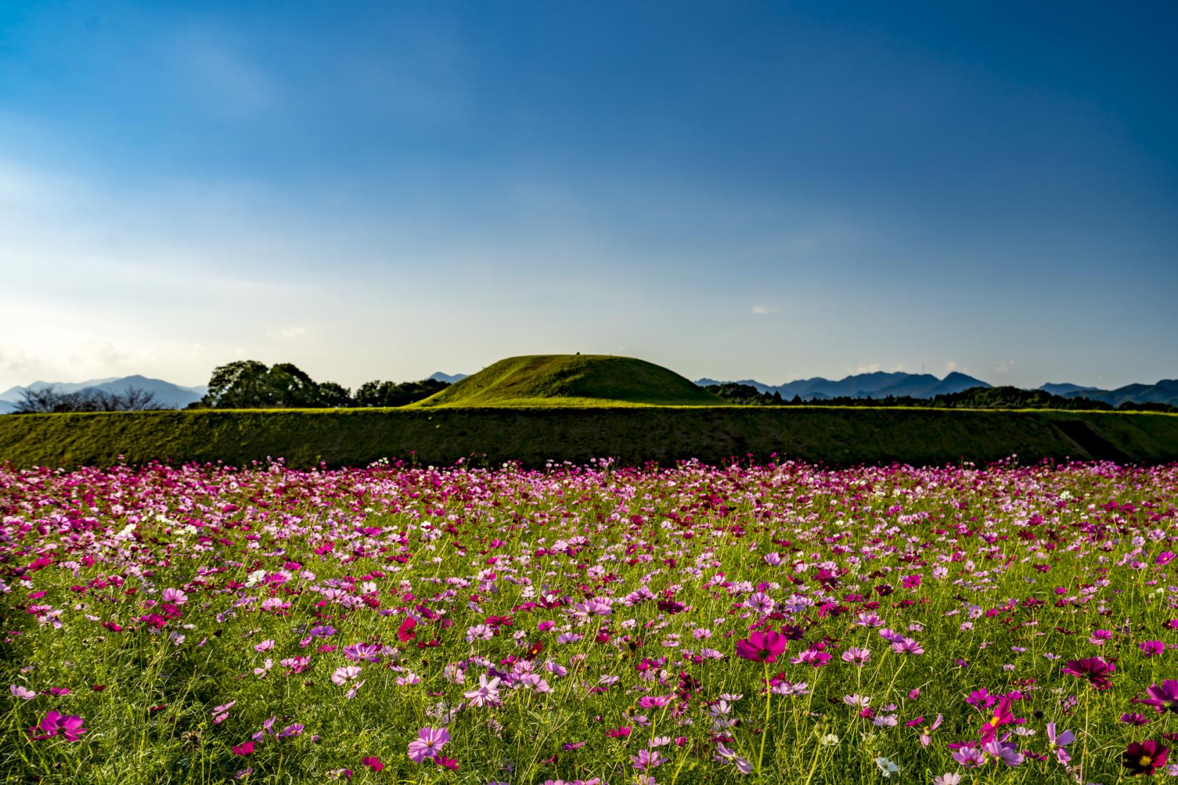  【1日目】西都原古墳群 