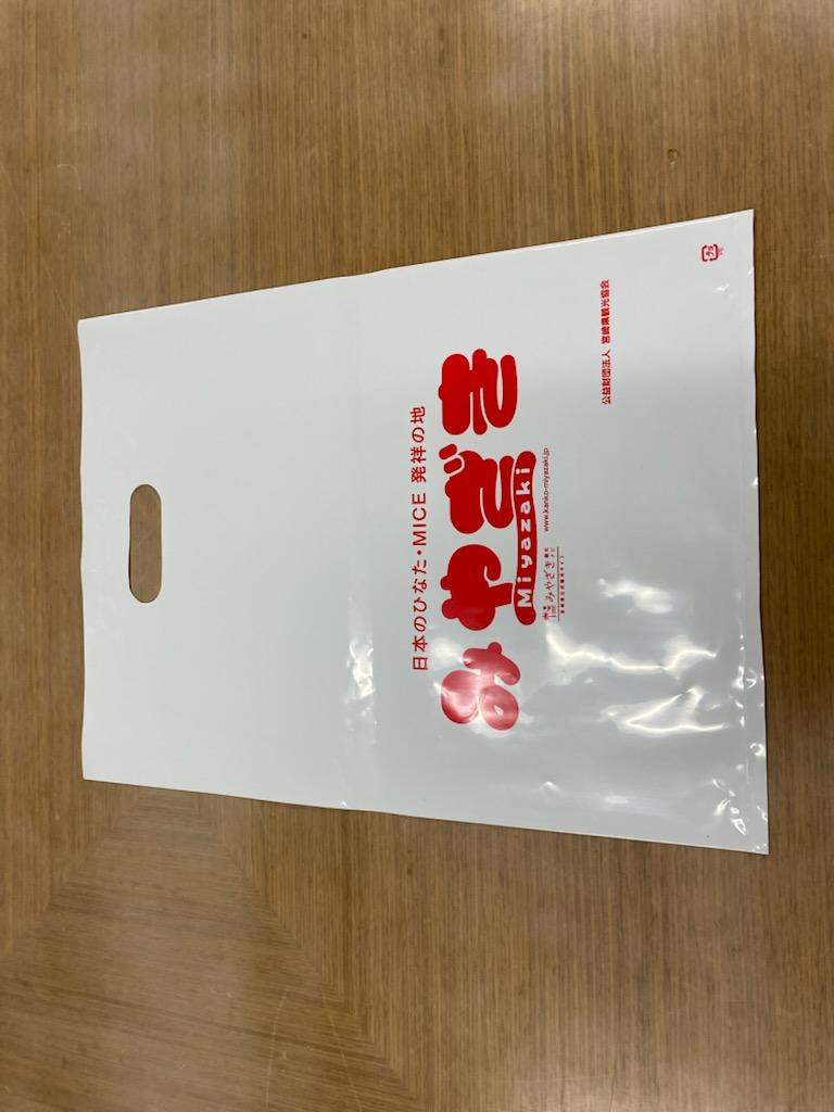 　　　　    ビニールバッグ（W300×H420）-1