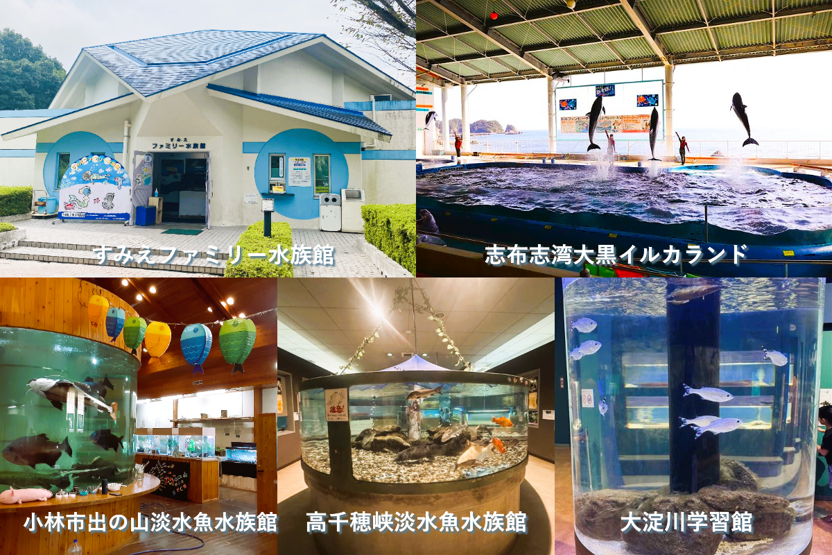 【期間限定】夏休みコース※終了-1