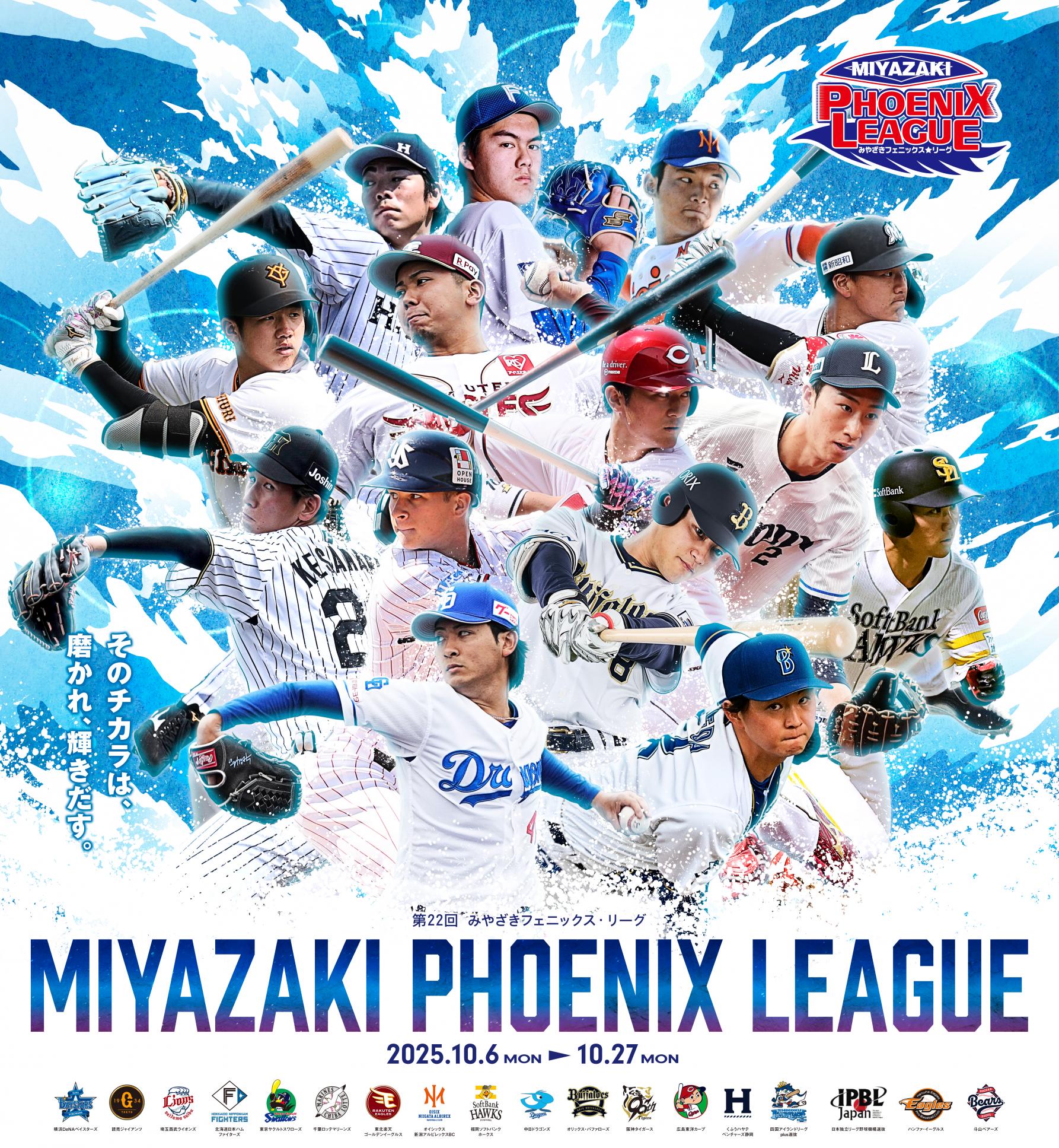 【期間限定】みやざきフェニックス・リーグコース-1