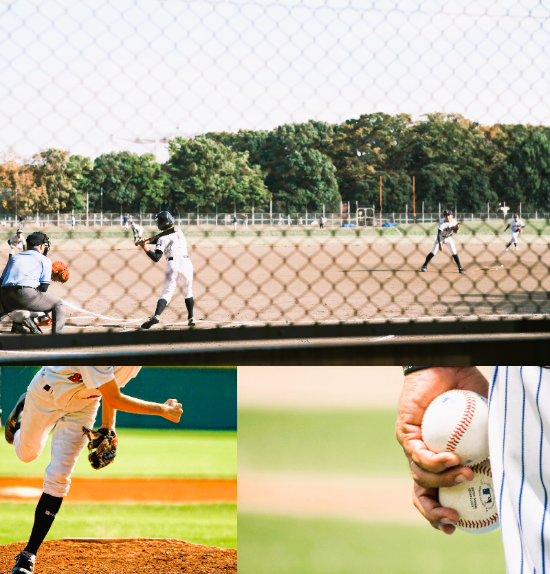 【期間限定】プロ野球春季キャンプコース-1