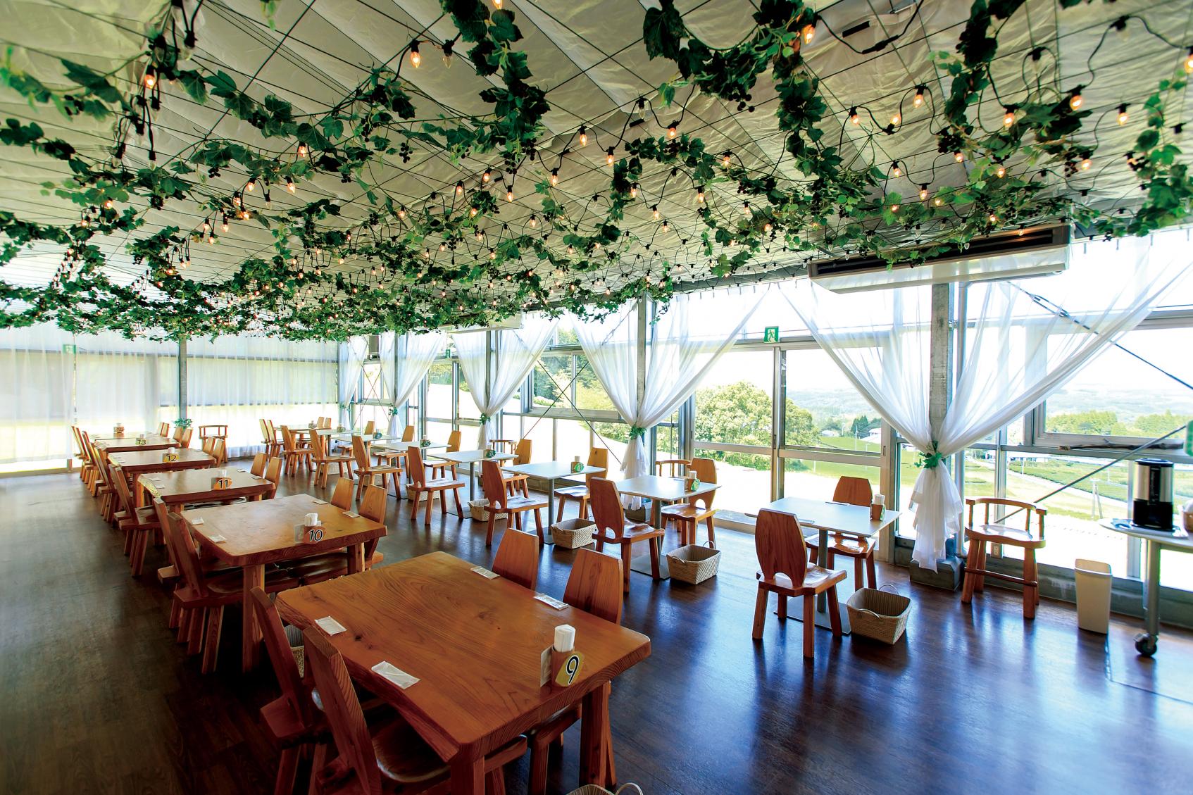 雲の上のぶどう／五ヶ瀬町-1