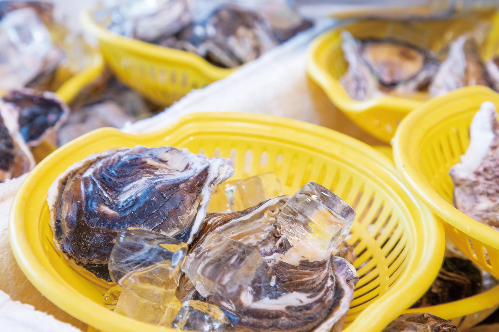 細島牡蠣小屋 かき寧／日向市-1