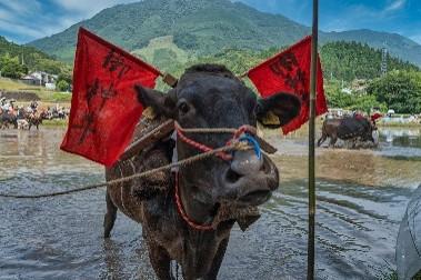 蘇る伝統【美郷町】-1