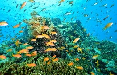 Fish world【日南市】-1