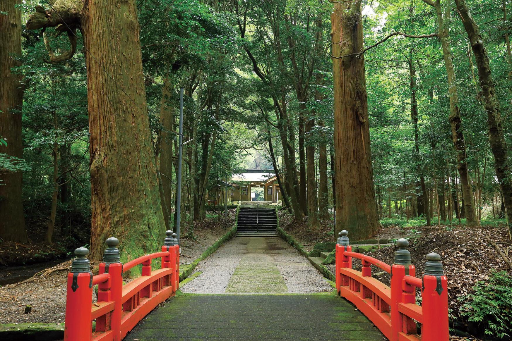 ⑤神武天皇の原点を訪ねる西部満喫コース-1