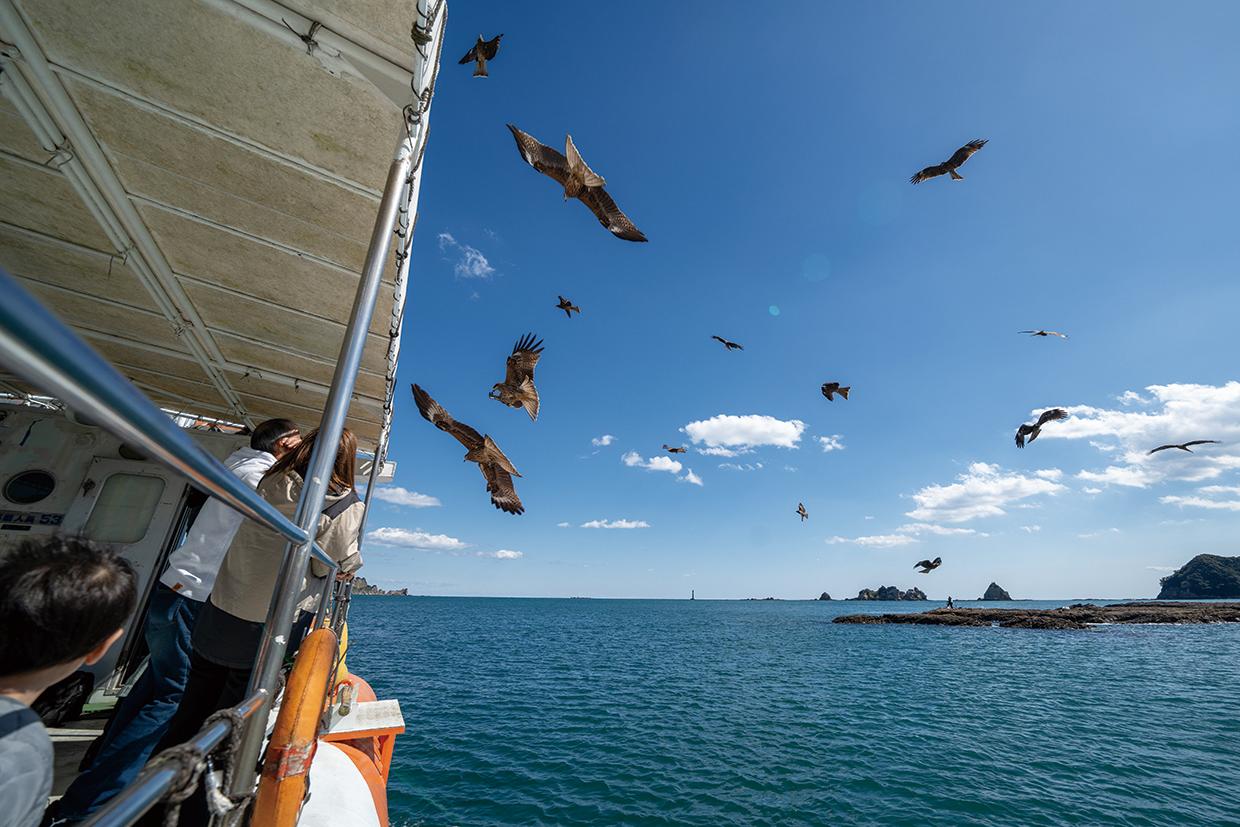 マリンビューワーにちなん／日南市-1