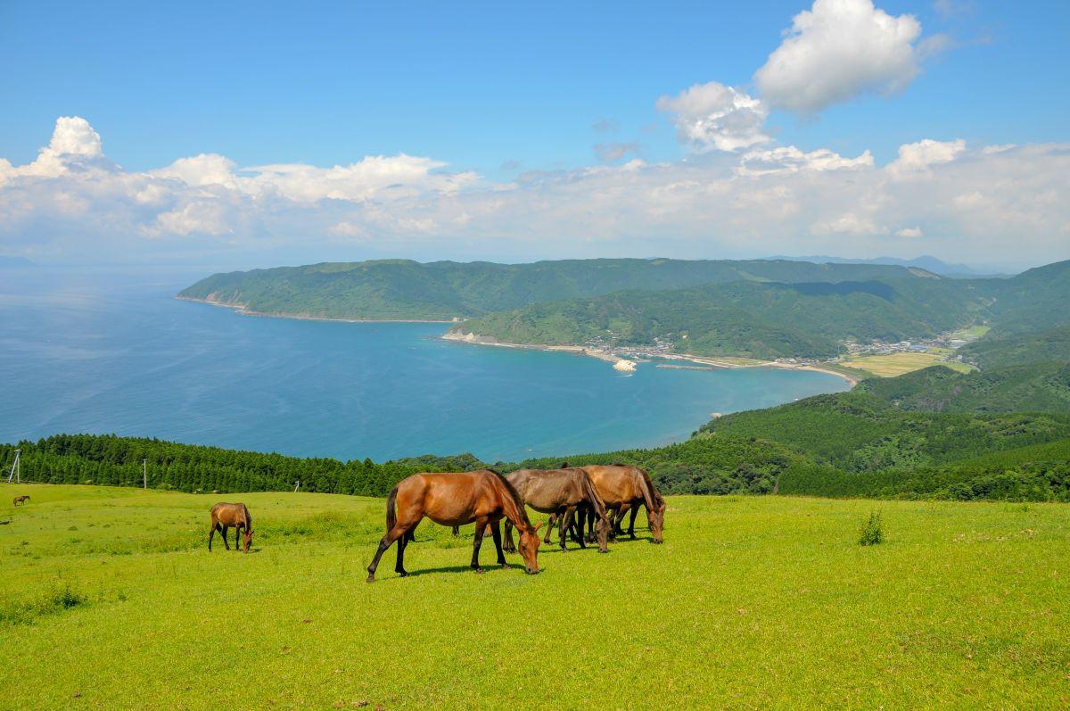 都井岬／串間市-1