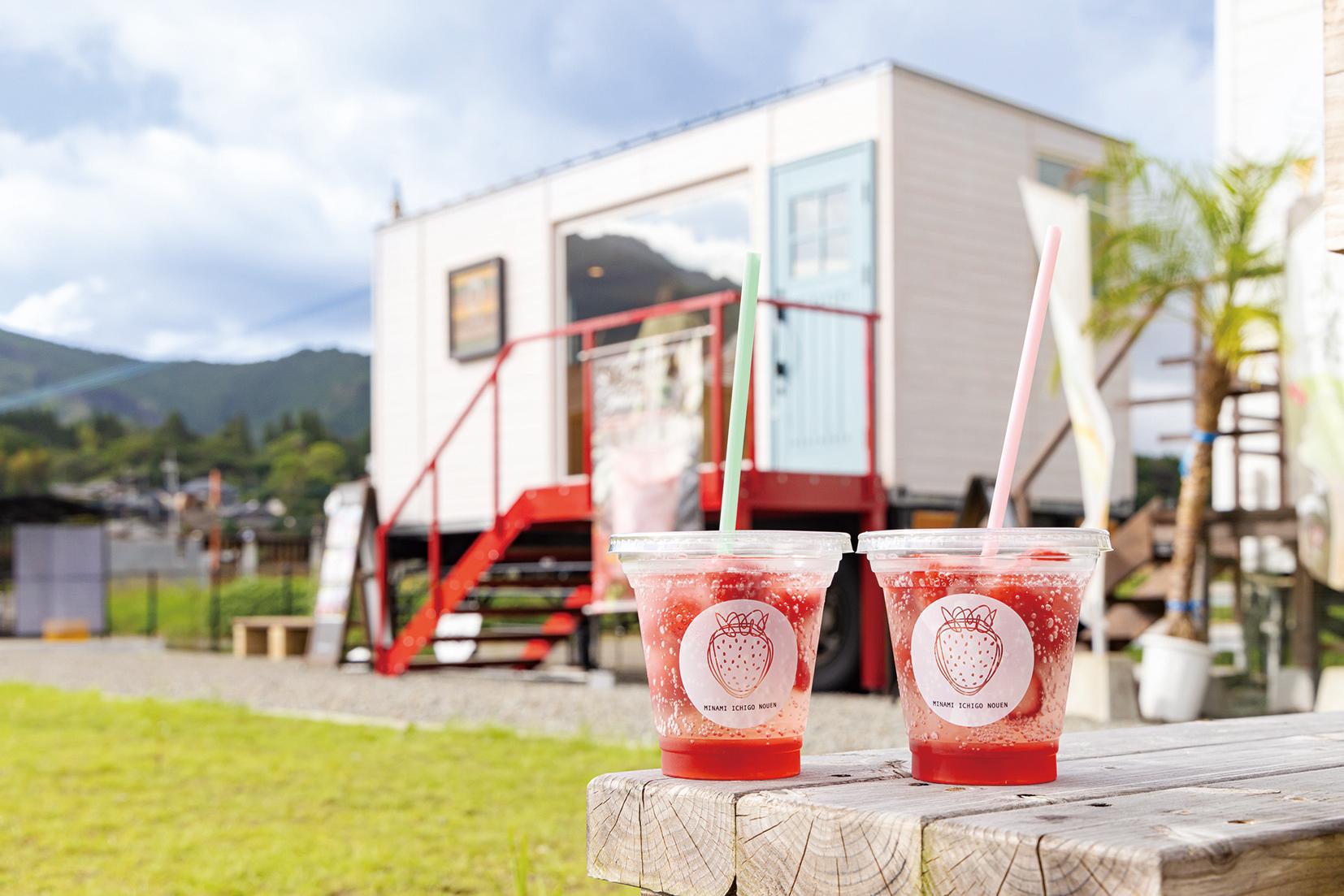 南いちご農園コンテナカフェ／日南市-1
