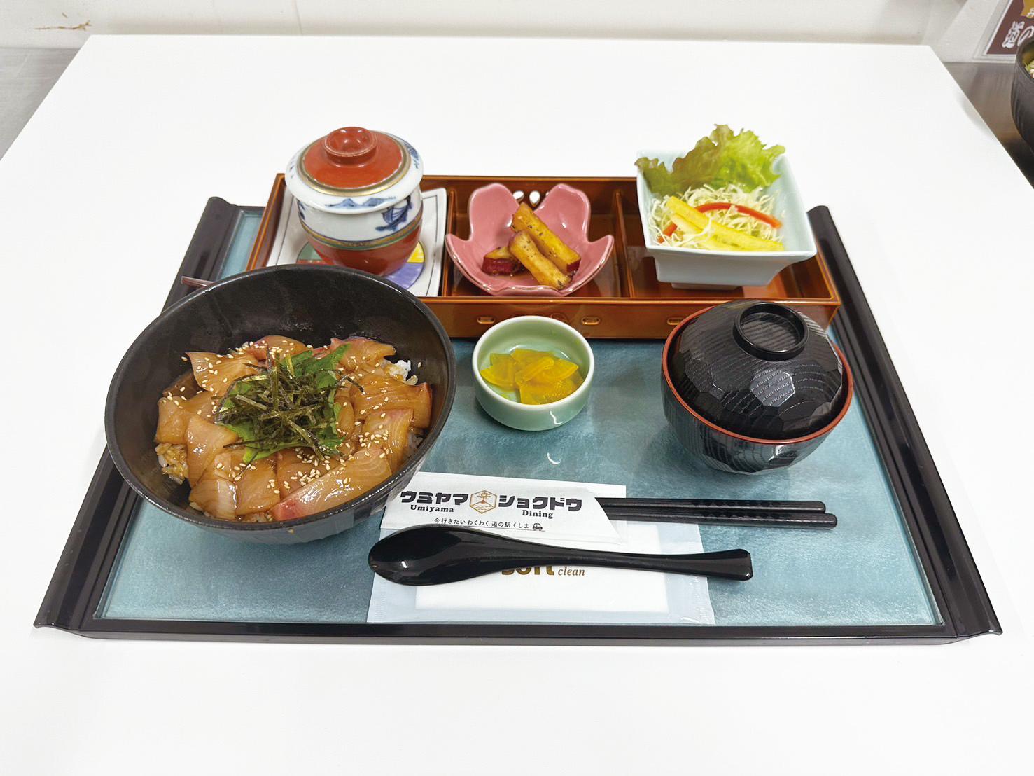 道の駅くしま／串間市-1