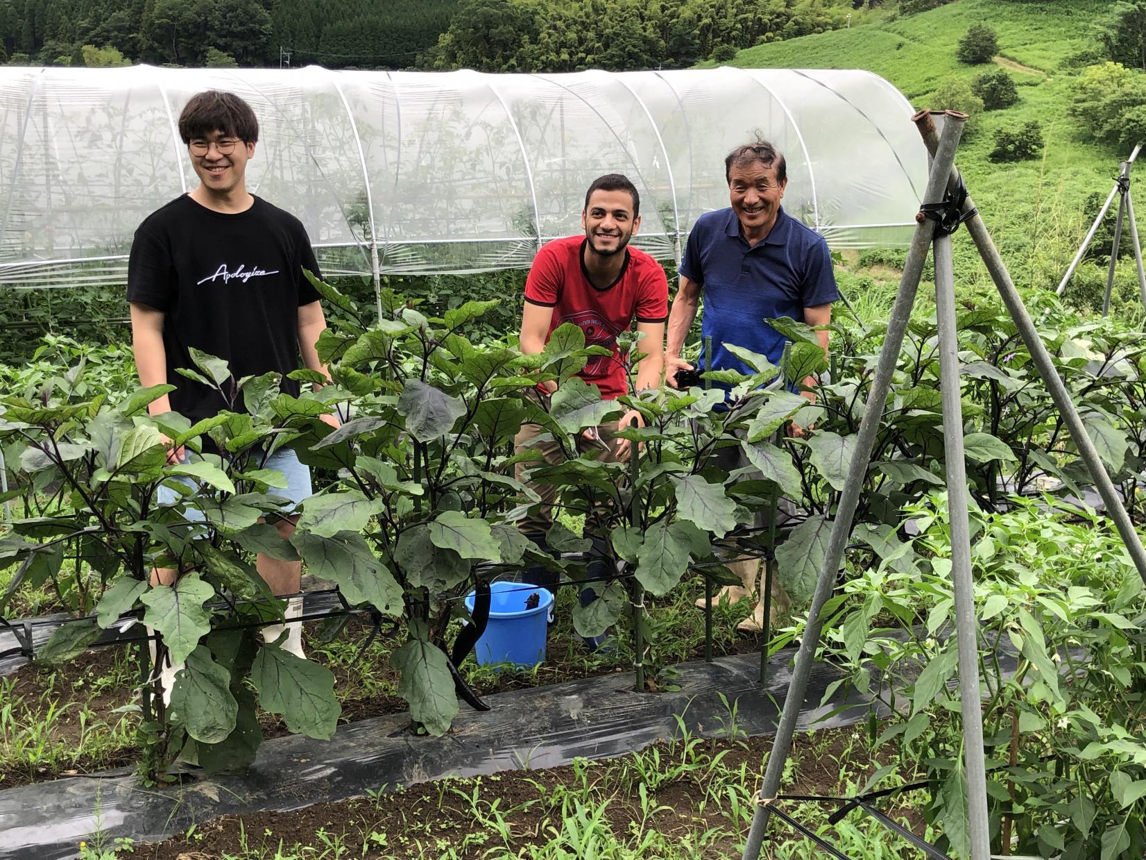 西乃郷（高千穂町）-1