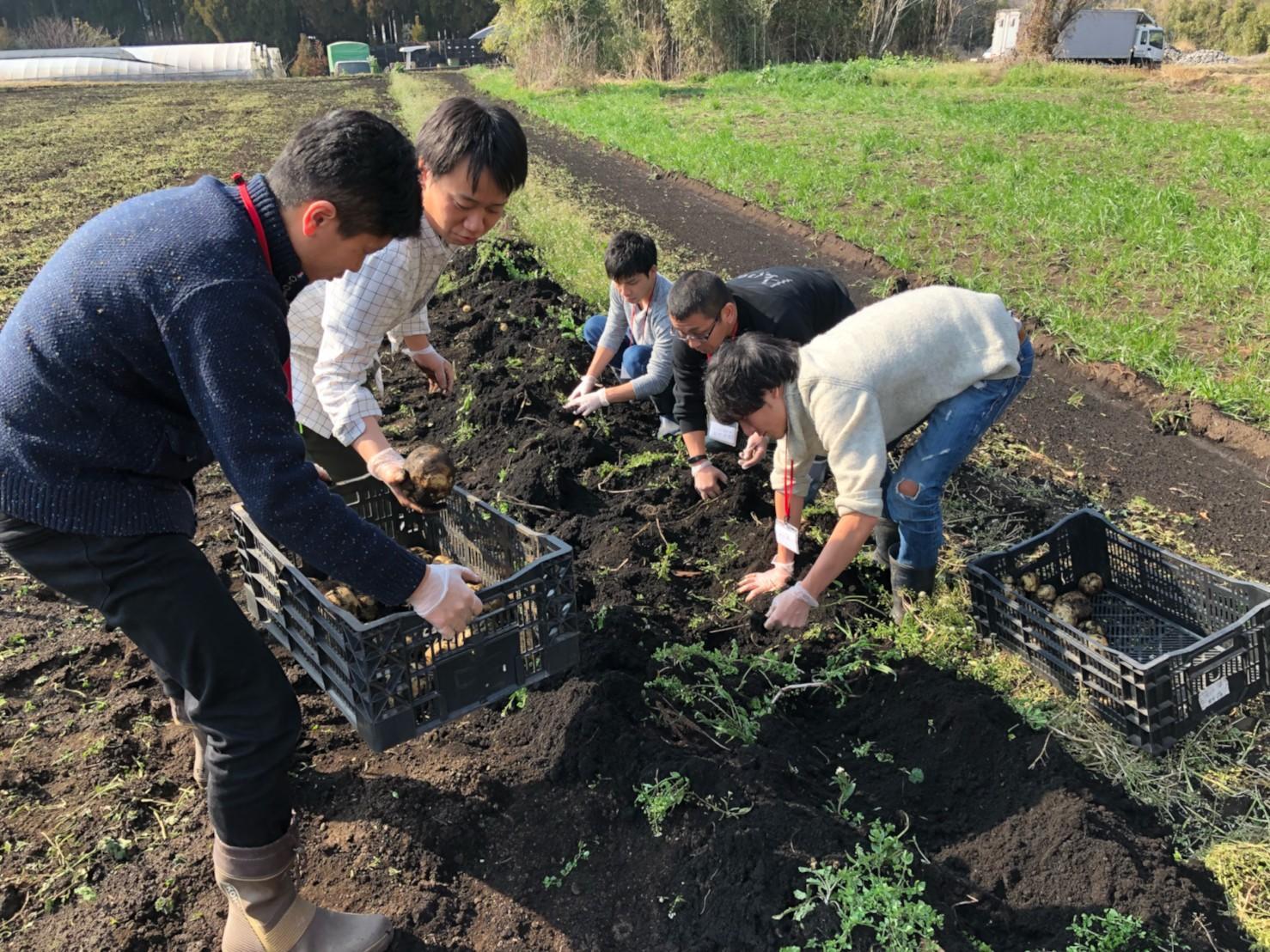 生駒ファーム(小林市)-1