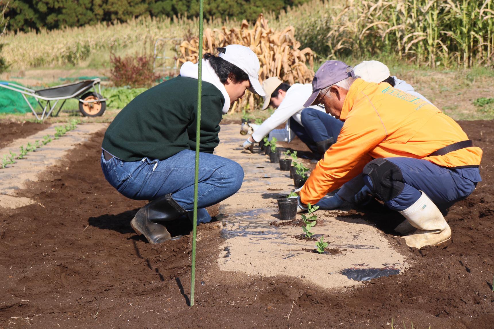 柿の家(えびの市)-1