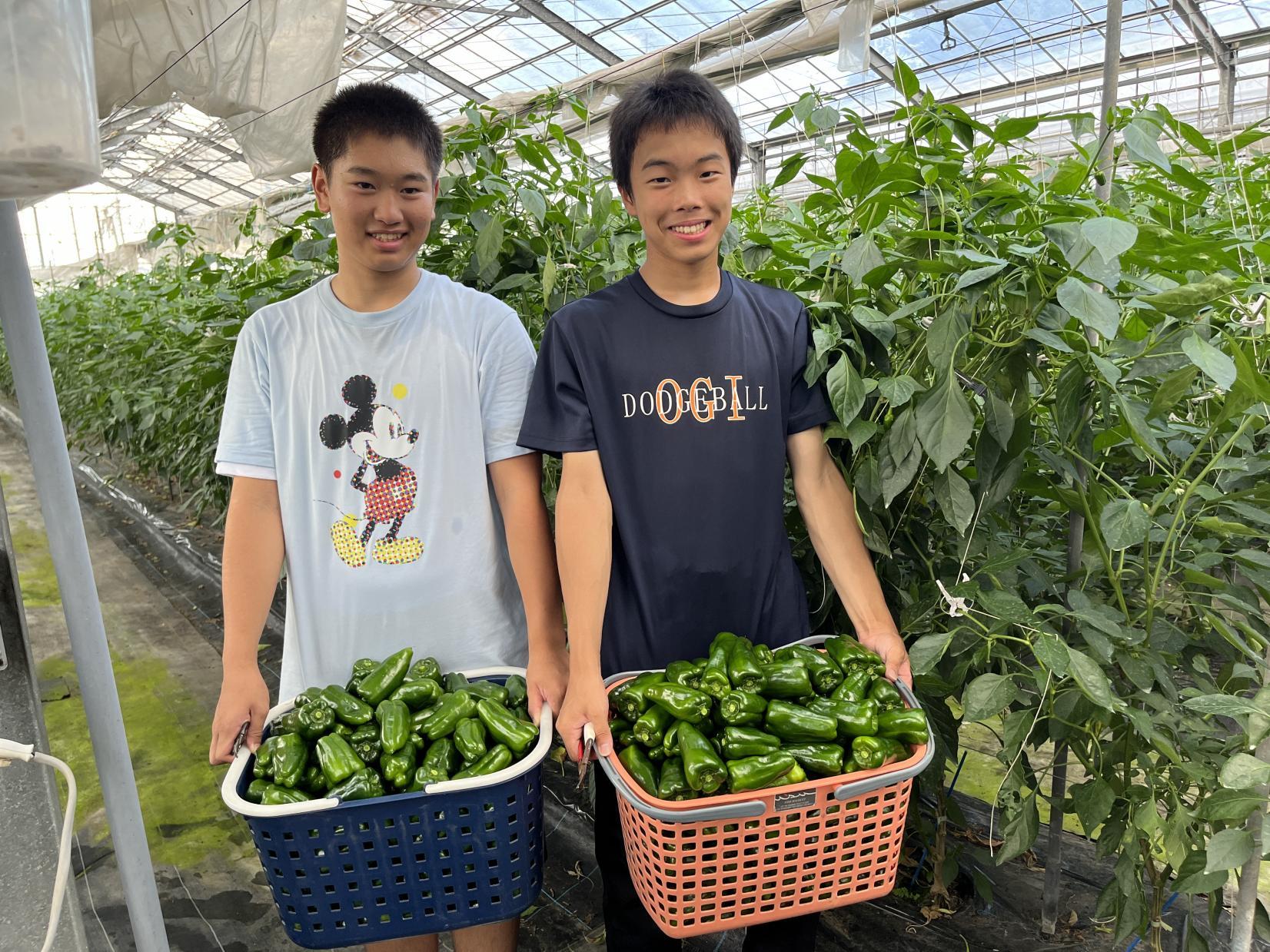 みっきー農園(えびの市)-1