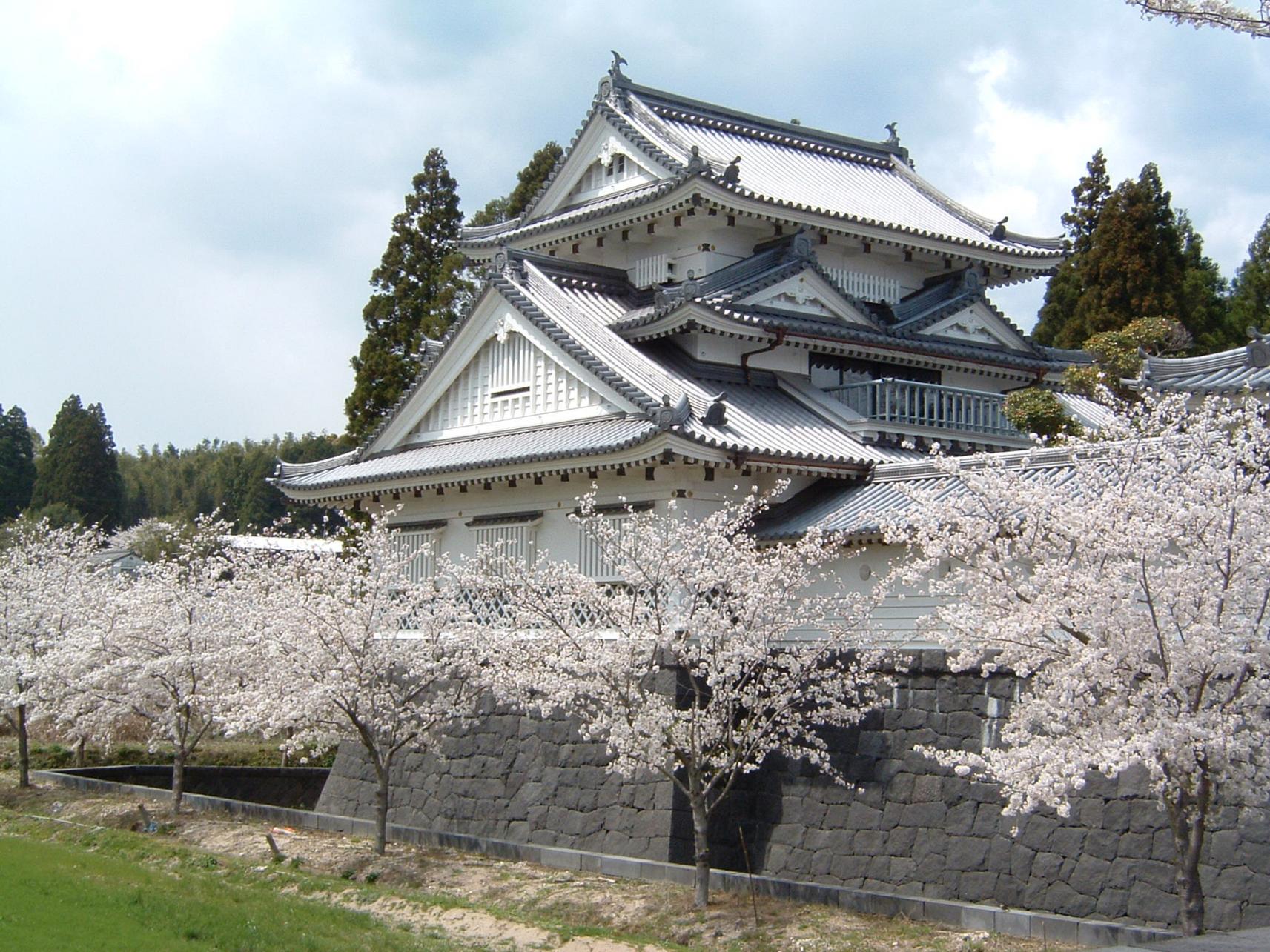 森岡城の桜（えびの市）-1