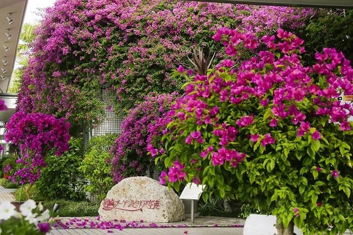 宮崎ブーゲンビリア空港（宮崎市）-1