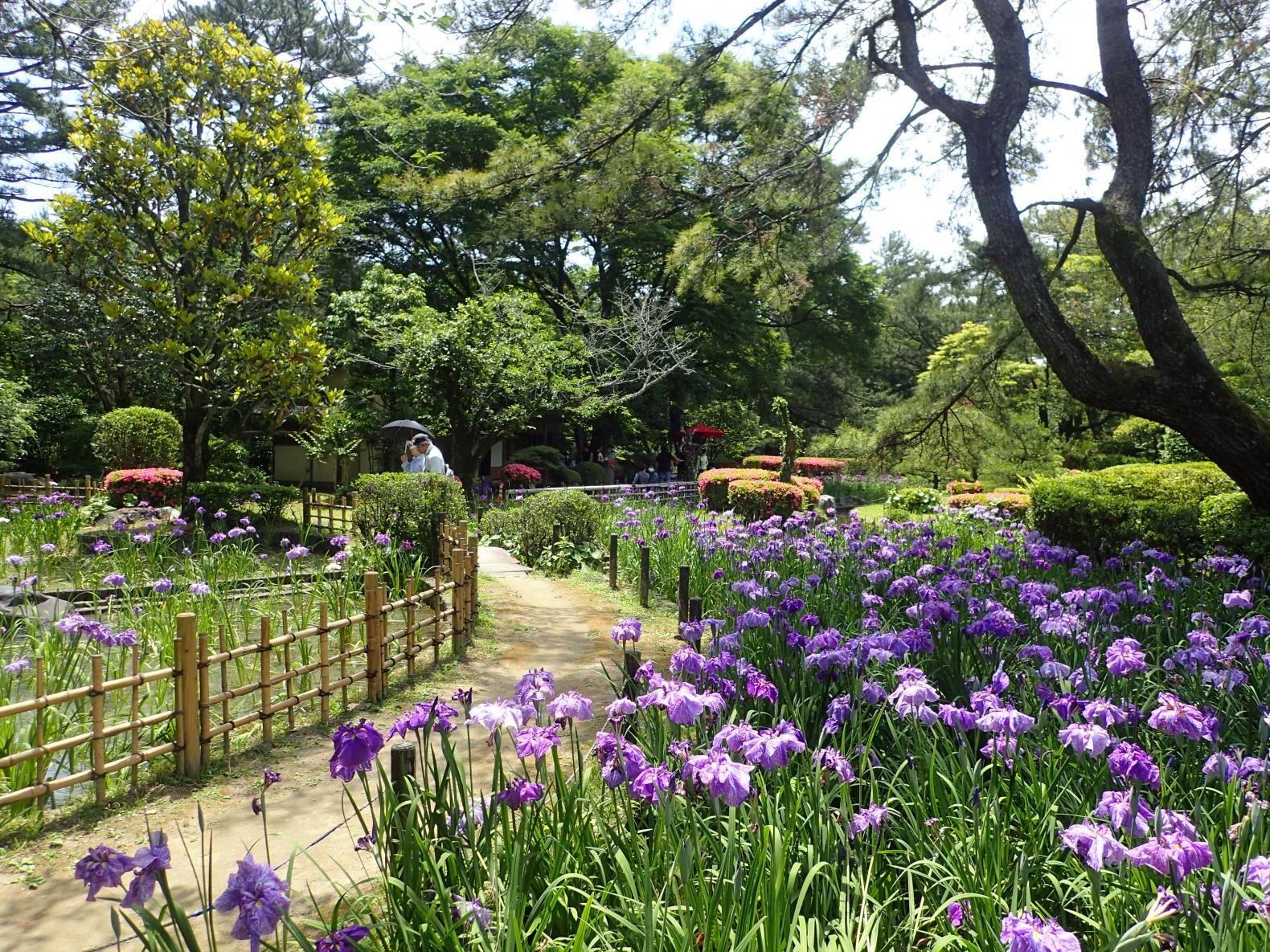 ひなた宮崎県総合運動公園（宮崎市）-1
