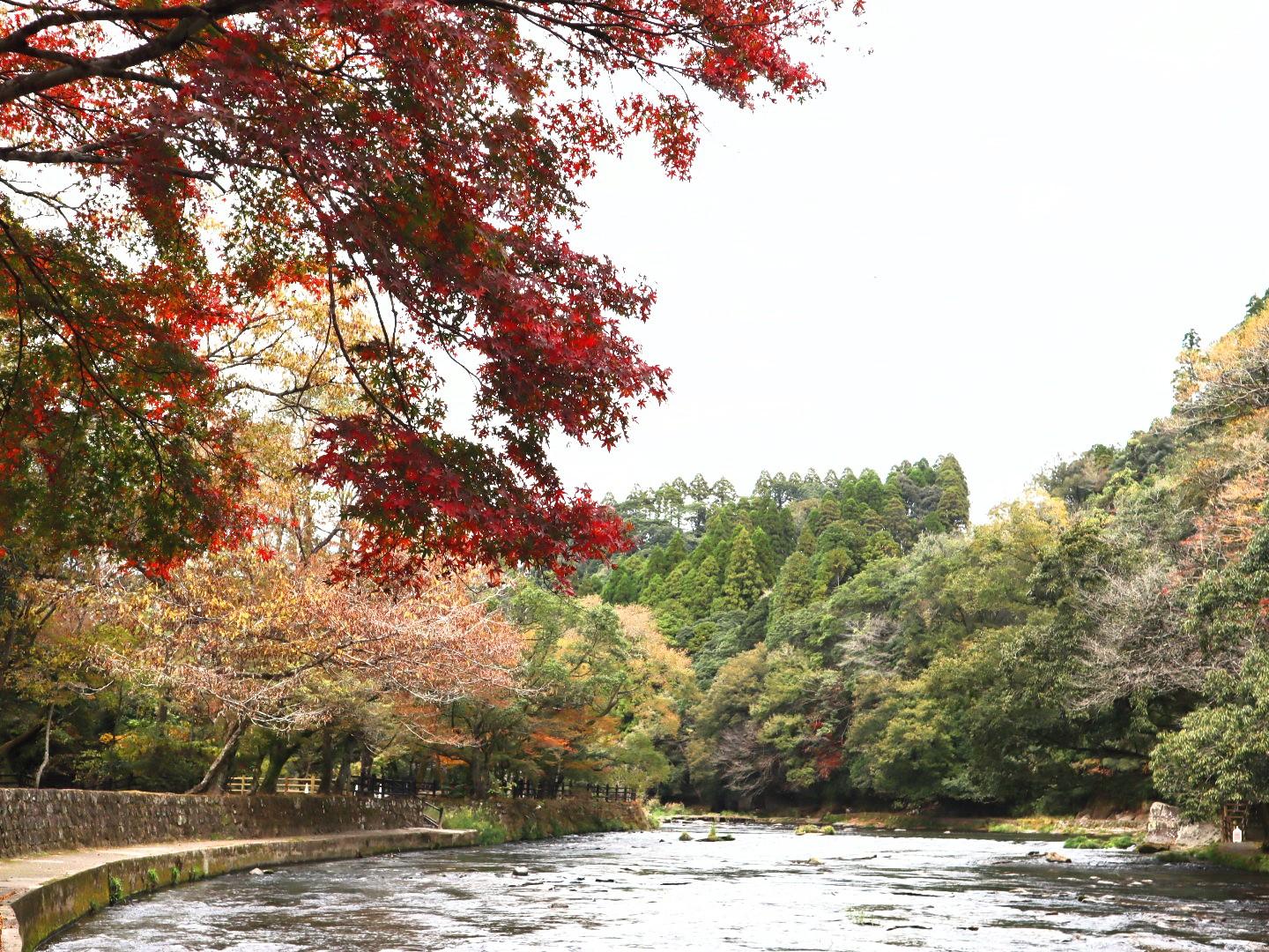 ⑬関之尾滝（都城市）-1