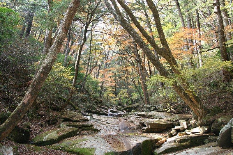 ④祝子川渓谷（延岡市）-1