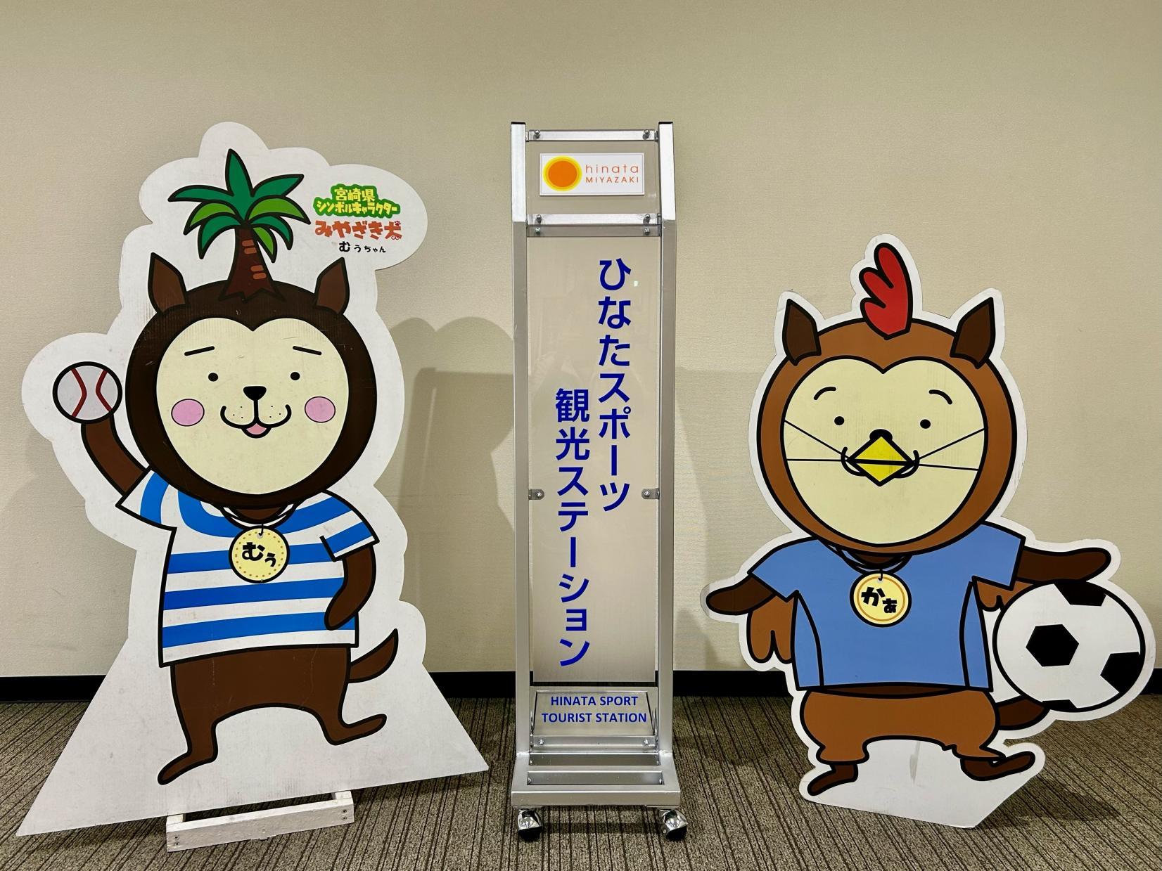 ひなたスポーツ観光ステーション-1